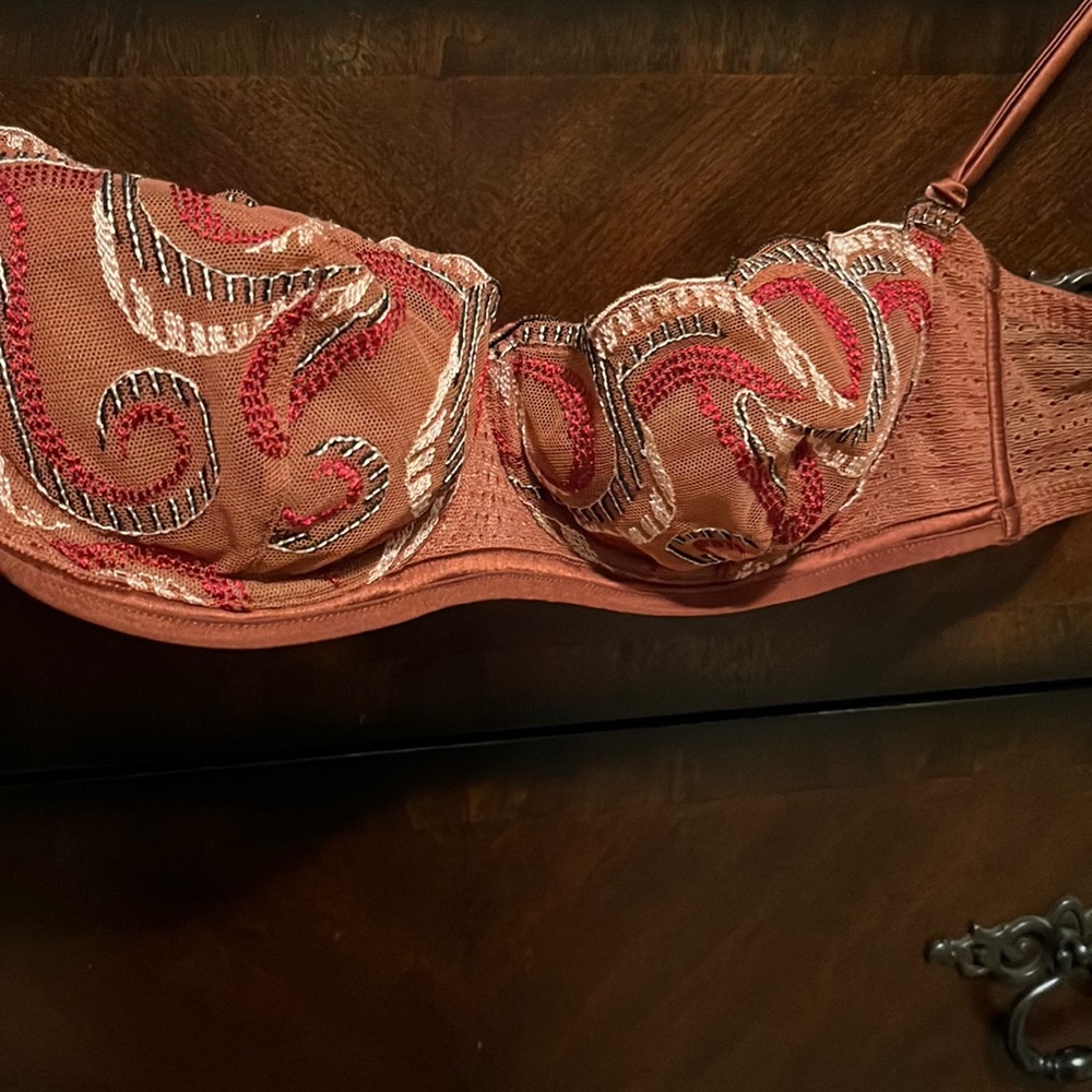 La Perla Unlined 34B Rust Embroidered Bra NWT